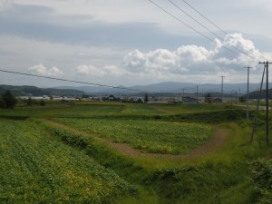 CIMG0587